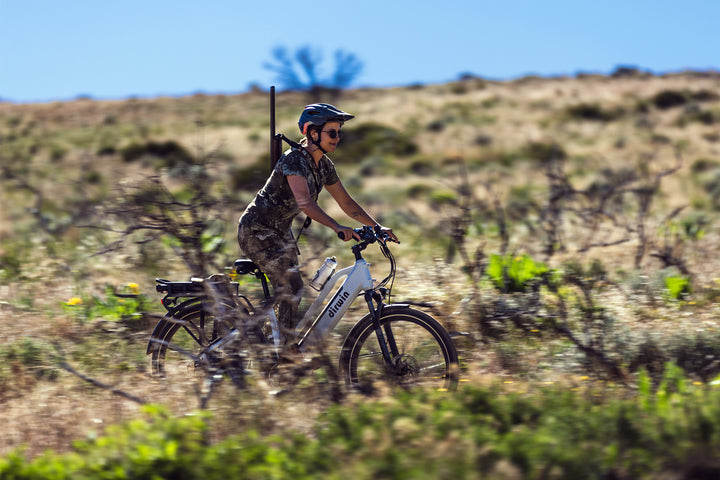 Can Dirwin eBikes be used for remote property management?