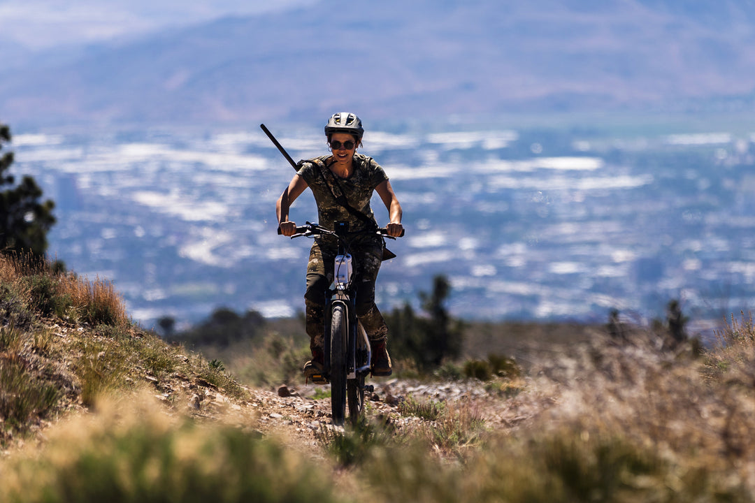 Which Dirwin eBike has the longest range?