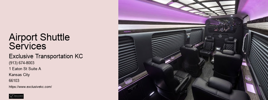 Chauffeured Transportation Services