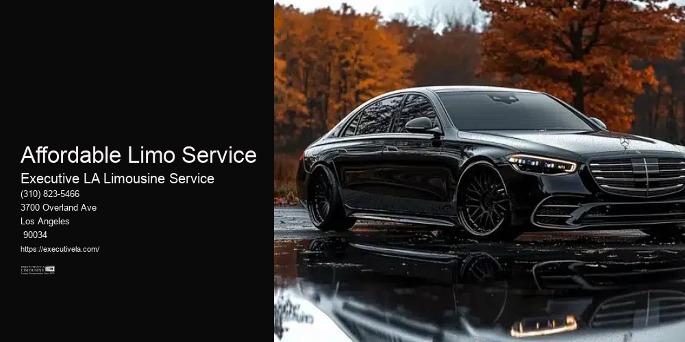 Affordable Limo Service