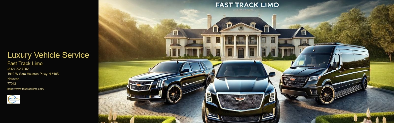 Luxury Vehicle Service