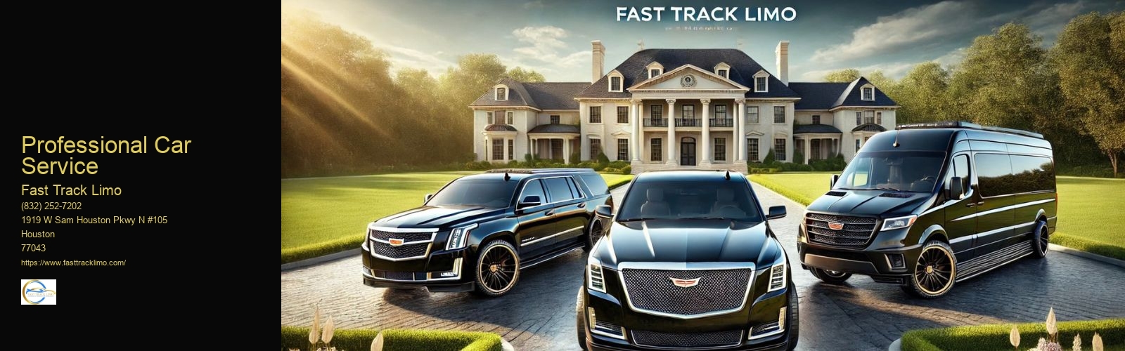 Professional Car Service