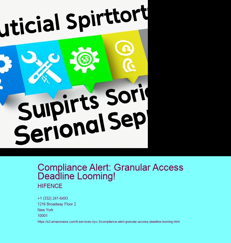 Compliance Alert: Granular Access Deadline Looming!