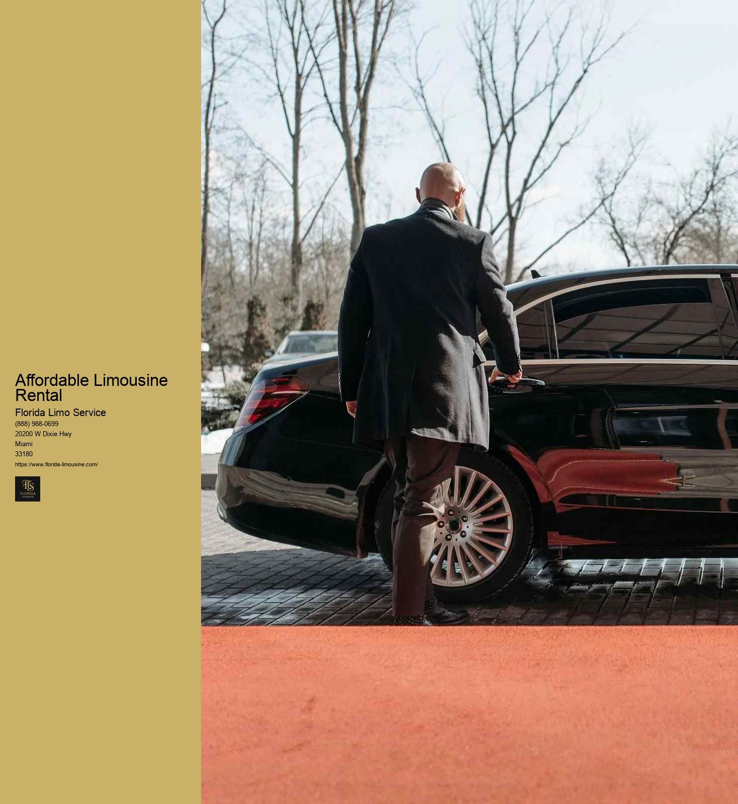 Affordable Limousine Rental