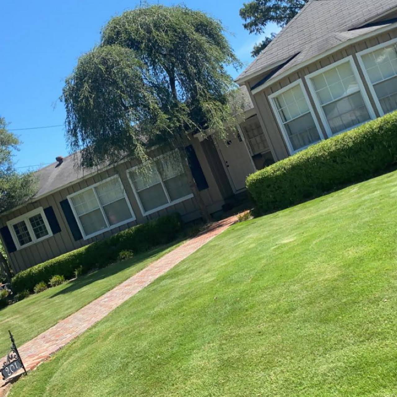 What is the lowest maintenance grass in Florida