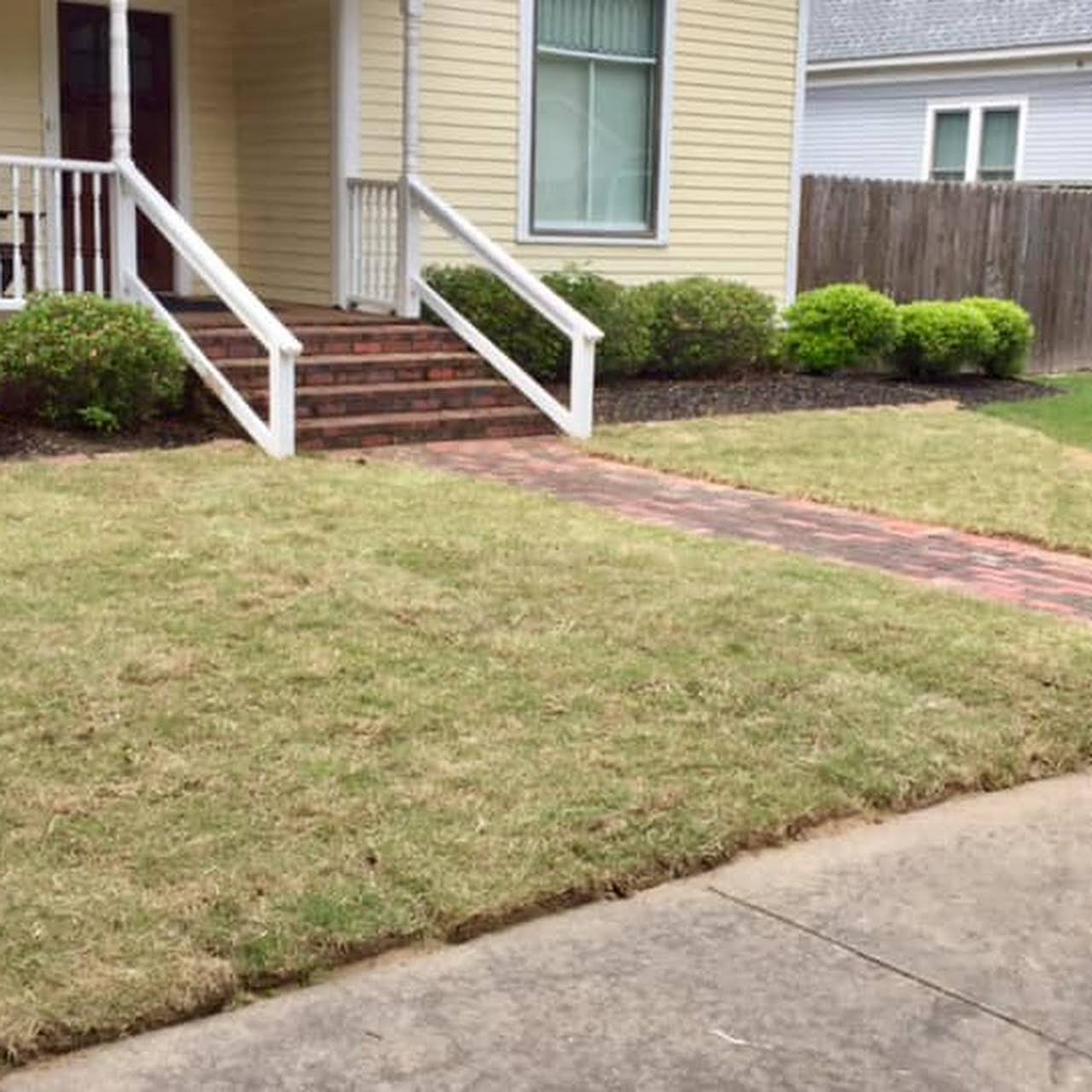 Do you have to cut grass year round in Florida