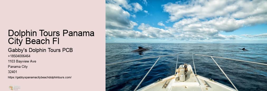Tours To Shell Island In Panama City