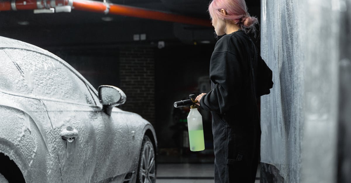 Garage door servicing in Sanctuary Cove