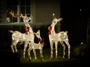 Energy-Efficient Landscape Lighting for Georgetown Homes