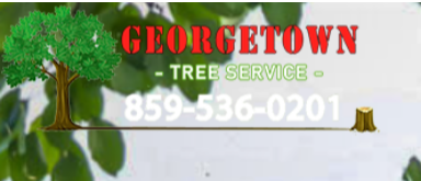   georgetown tree service	 
