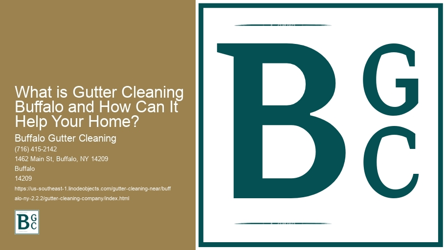 What is Gutter Cleaning Buffalo and How Can It Help Your Home? 