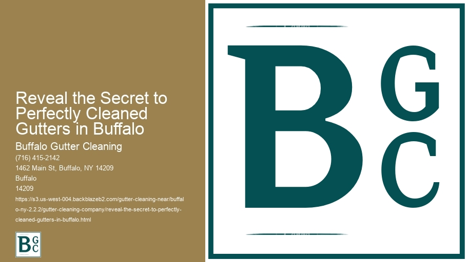 Reveal the Secret to Perfectly Cleaned Gutters in Buffalo