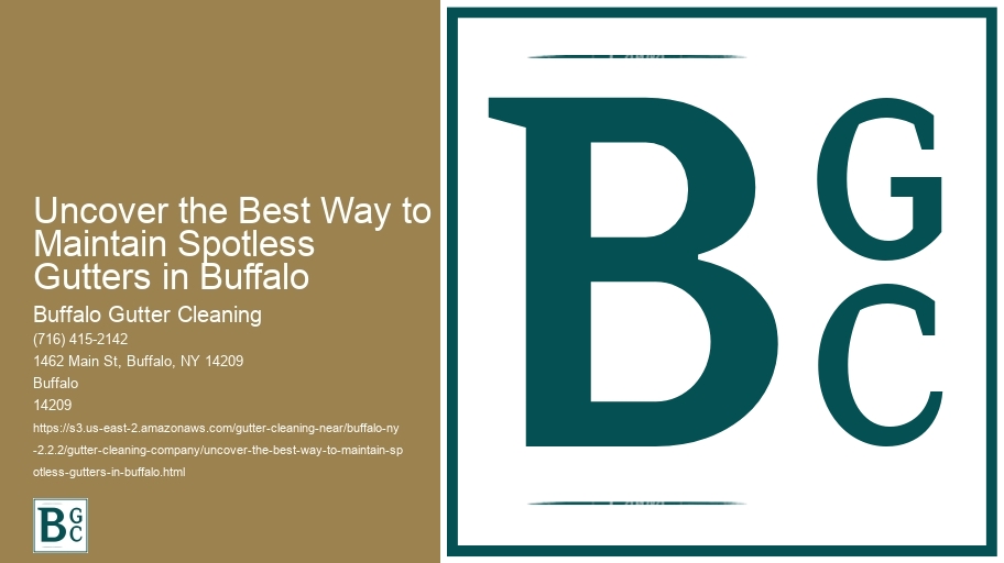 Uncover the Best Way to Maintain Spotless Gutters in Buffalo 