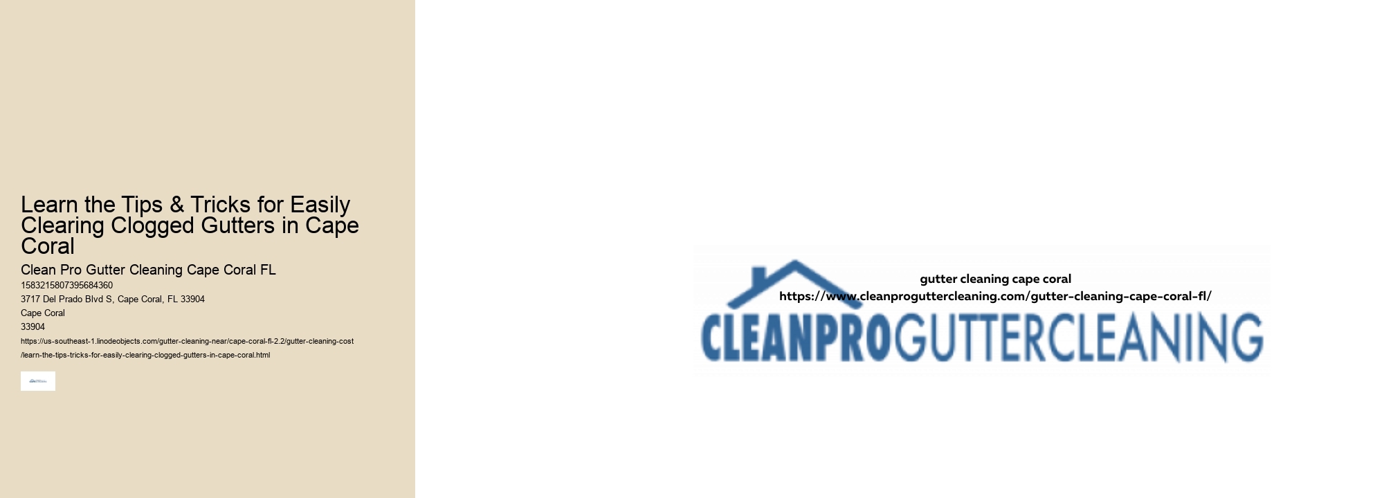 Learn the Tips & Tricks for Easily Clearing Clogged Gutters in Cape Coral