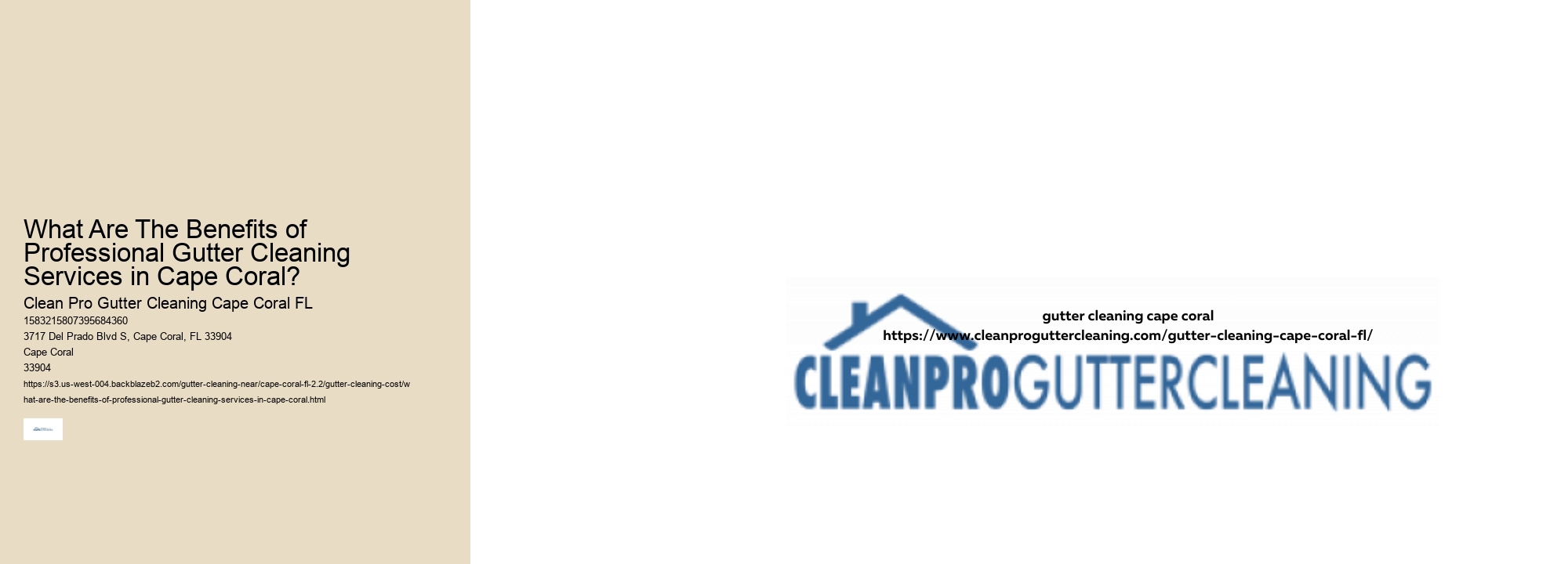 What Are The Benefits of Professional Gutter Cleaning Services in Cape Coral? 