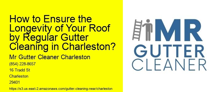 How to Ensure the Longevity of Your Roof by Regular Gutter Cleaning in Charleston?