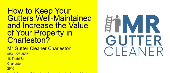 How to Keep Your Gutters Well-Maintained and Increase the Value of Your Property in Charleston?