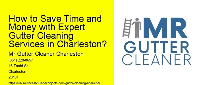 How to Save Time and Money with Expert Gutter Cleaning Services in Charleston?