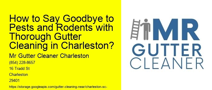 How to Say Goodbye to Pests and Rodents with Thorough Gutter Cleaning in Charleston?