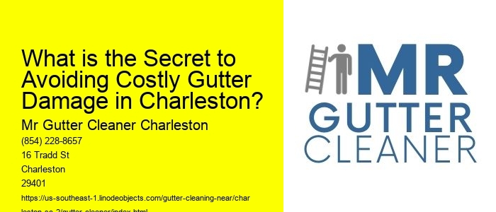 What is the Secret to Avoiding Costly Gutter Damage in Charleston?