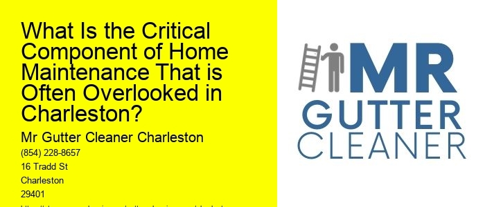 What Is the Critical Component of Home Maintenance That is Often Overlooked in Charleston?
