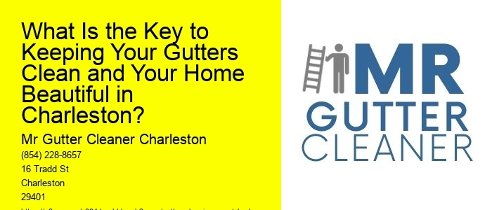 What Is the Key to Keeping Your Gutters Clean and Your Home Beautiful in Charleston?