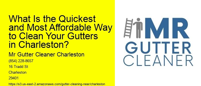 What Is the Quickest and Most Affordable Way to Clean Your Gutters in Charleston?