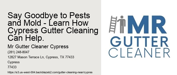 Say Goodbye to Pests and Mold - Learn How Cypress Gutter Cleaning Can Help.