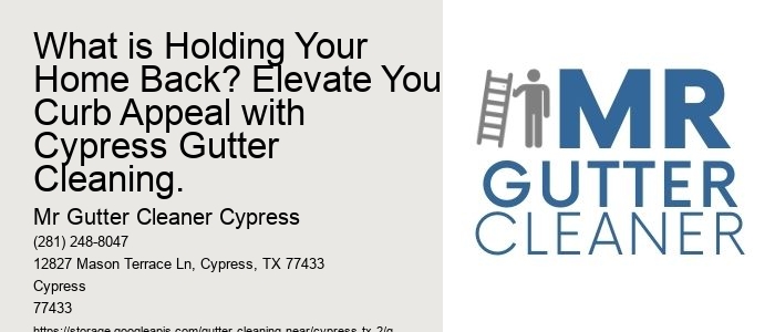 What is Holding Your Home Back? Elevate Your Curb Appeal with Cypress Gutter Cleaning.