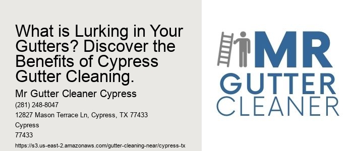 What is Lurking in Your Gutters? Discover the Benefits of Cypress Gutter Cleaning.