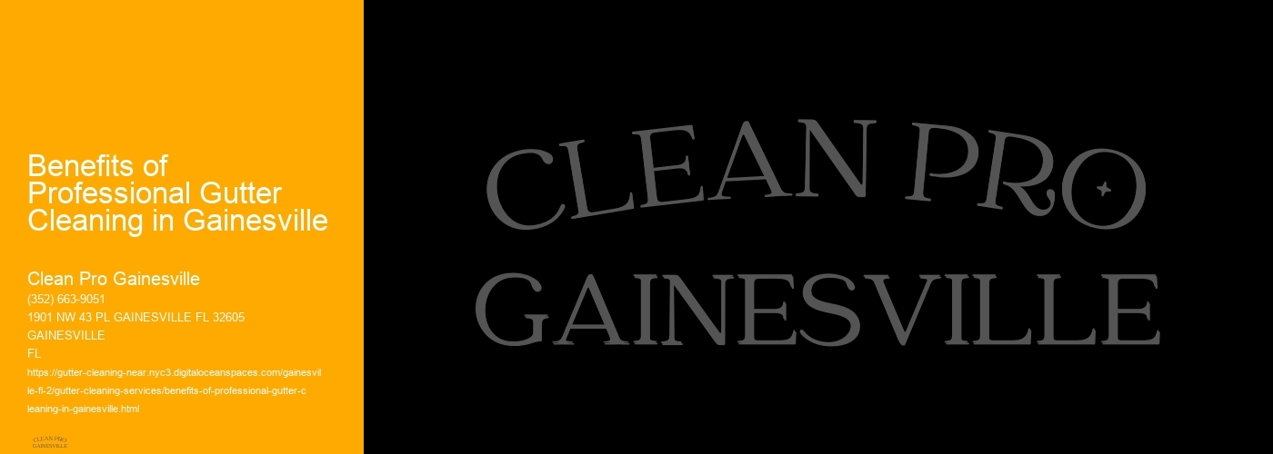 Benefits of Professional Gutter Cleaning in Gainesville 
