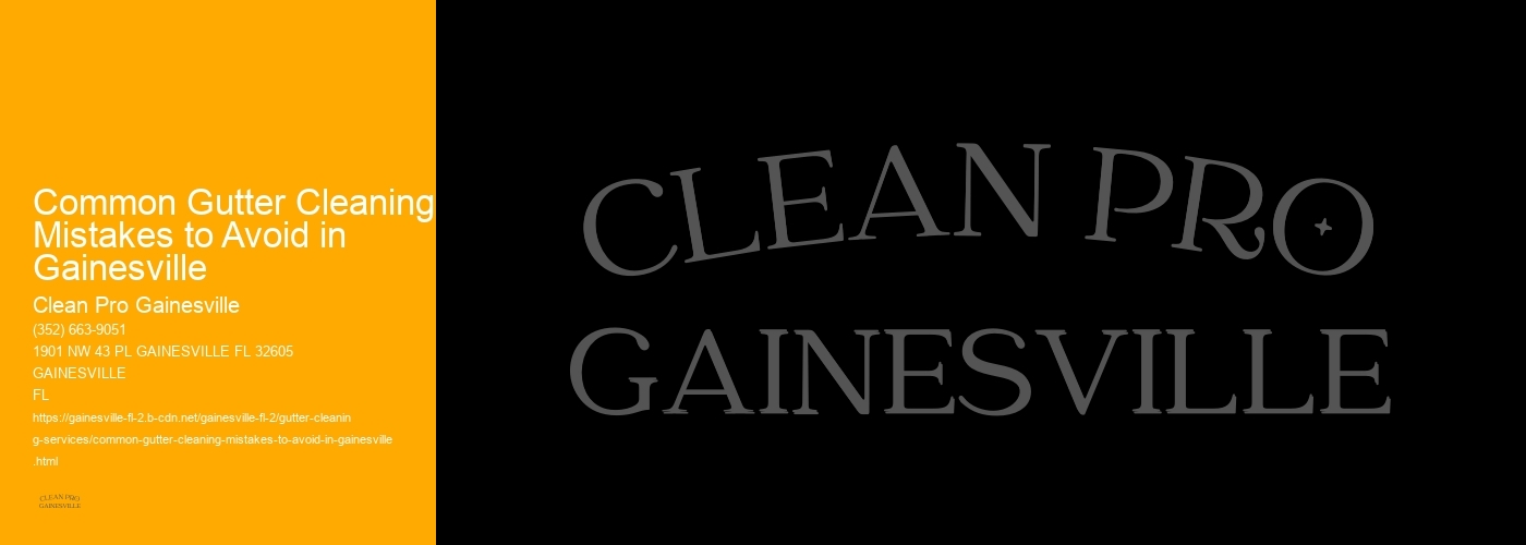 Common Gutter Cleaning Mistakes to Avoid in Gainesville 