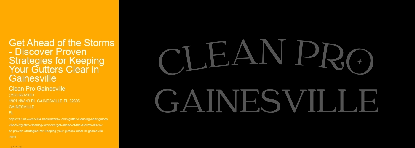 Get Ahead of the Storms - Discover Proven Strategies for Keeping Your Gutters Clear in Gainesville