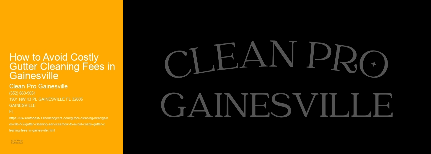 How to Avoid Costly Gutter Cleaning Fees in Gainesville 