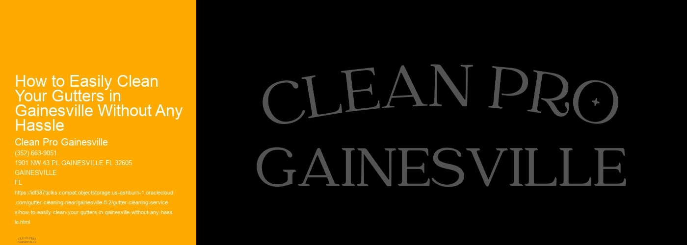 How to Easily Clean Your Gutters in Gainesville Without Any Hassle 