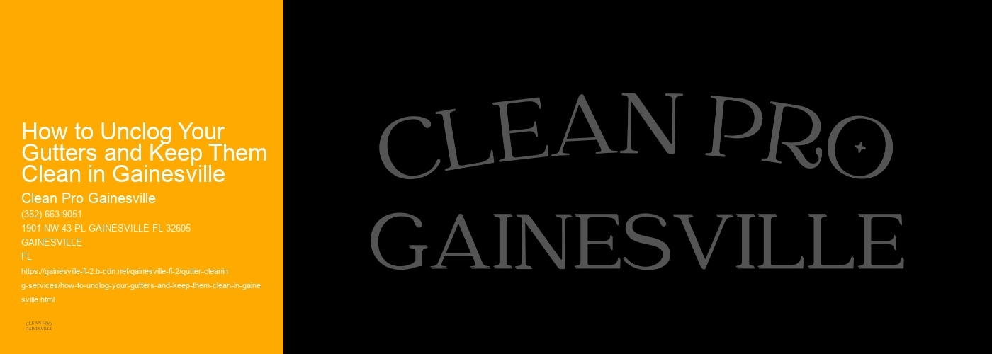 How to Unclog Your Gutters and Keep Them Clean in Gainesville 