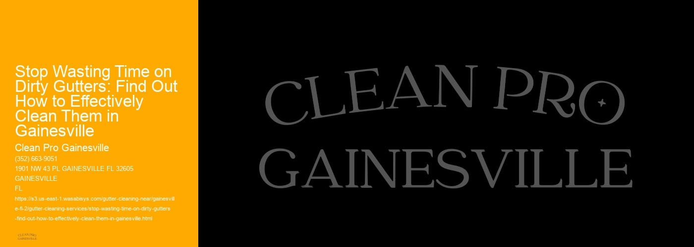 Stop Wasting Time on Dirty Gutters: Find Out How to Effectively Clean Them in Gainesville 