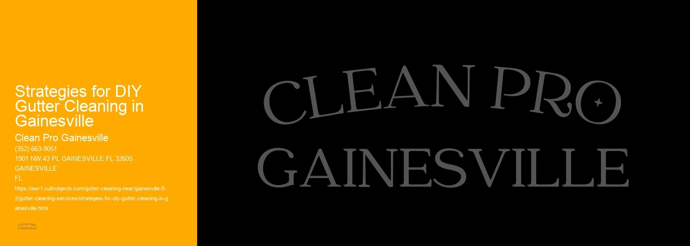 Strategies for DIY Gutter Cleaning in Gainesville 