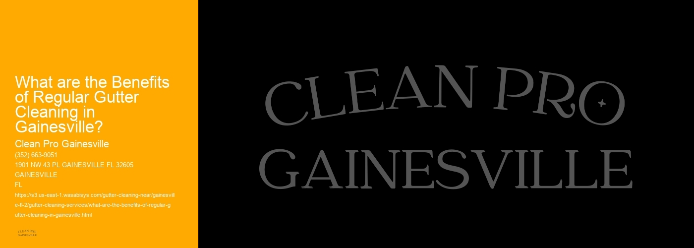 What are the Benefits of Regular Gutter Cleaning in Gainesville? 