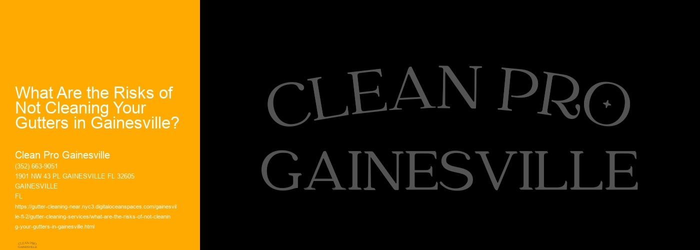 What Are the Risks of Not Cleaning Your Gutters in Gainesville? 