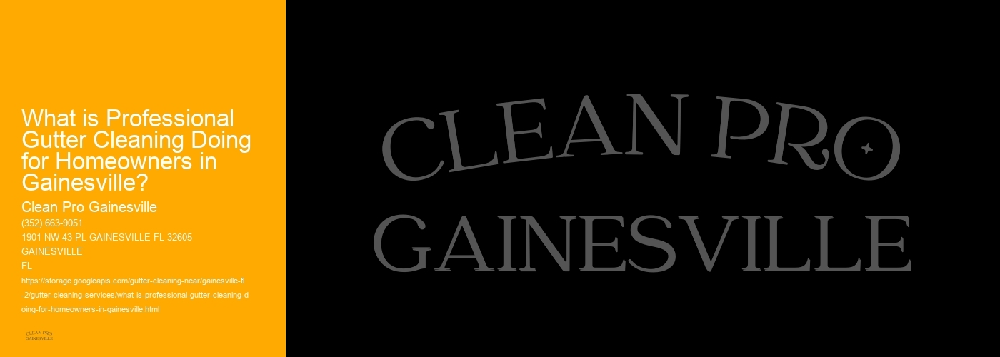 What is Professional Gutter Cleaning Doing for Homeowners in Gainesville? 