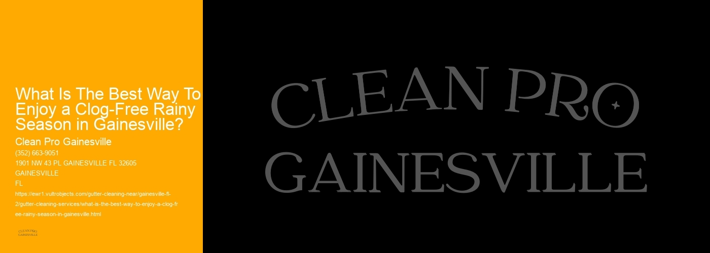 What Is The Best Way To Enjoy a Clog-Free Rainy Season in Gainesville?