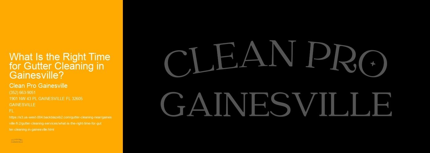What Is the Right Time for Gutter Cleaning in Gainesville?  
