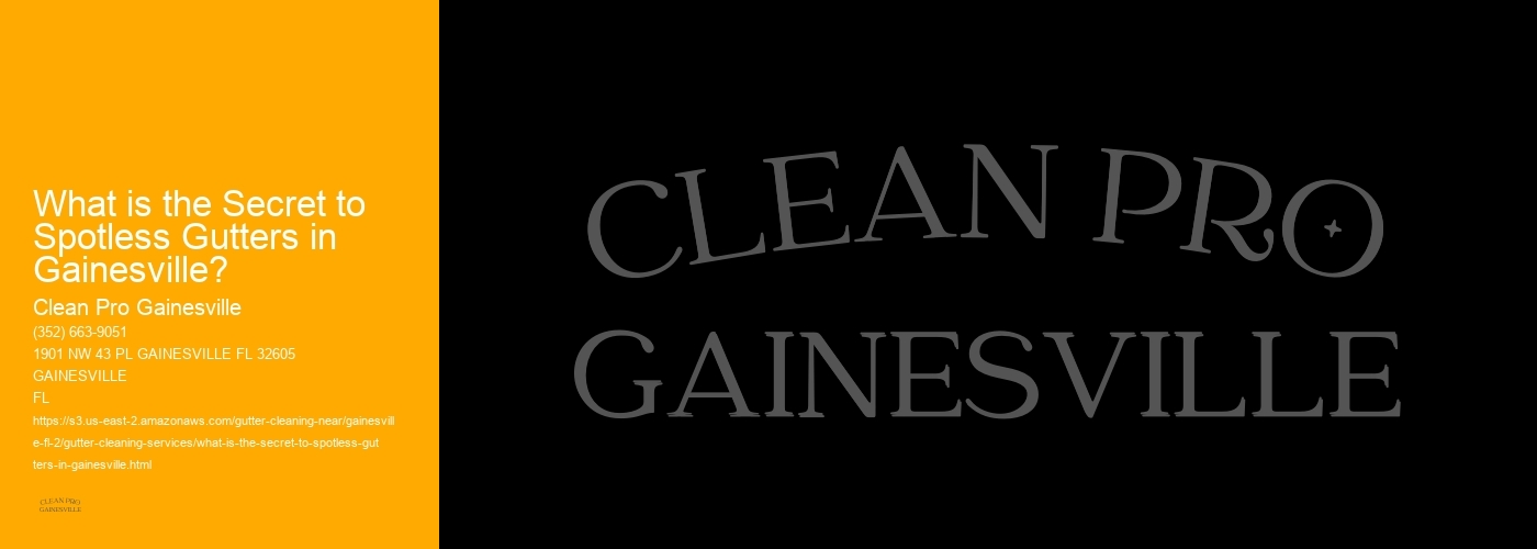 What is the Secret to Spotless Gutters in Gainesville? 