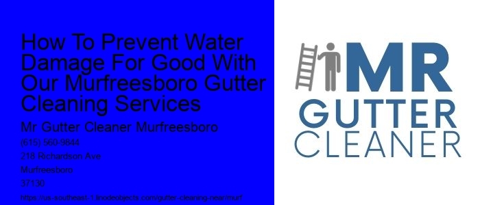 How To Prevent Water Damage For Good With Our Murfreesboro Gutter Cleaning Services