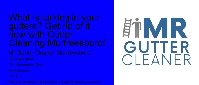 What is lurking in your gutters? Get rid of it now with Gutter Cleaning Murfreesboro!