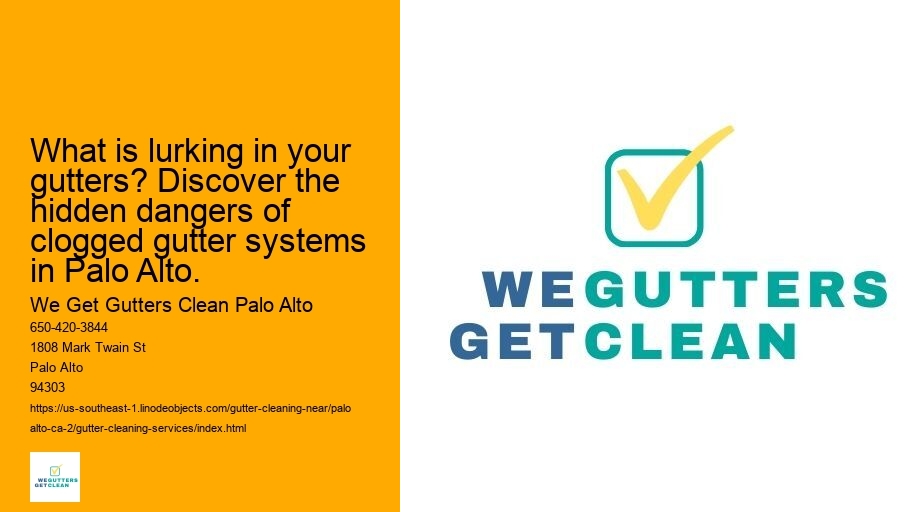 What is lurking in your gutters? Discover the hidden dangers of clogged gutter systems in Palo Alto.