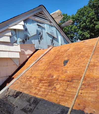 Why Is Rodent Control Essential for California Homes?