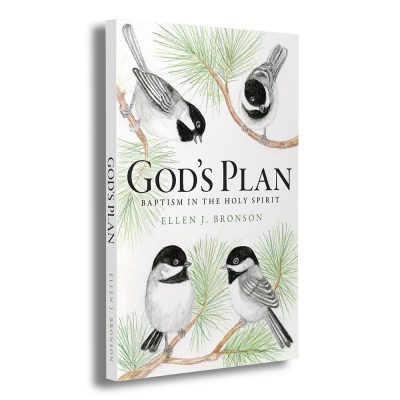 God's Plan Expanded View