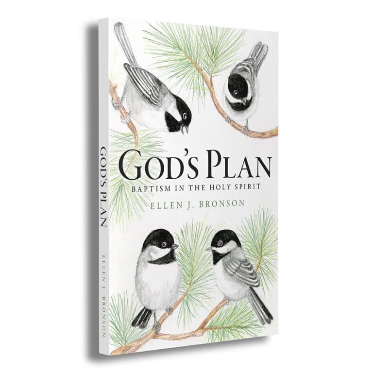 God's Plan Expanded View